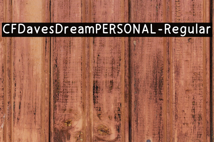 CFDavesDreamPERSONAL-Regular Example 3