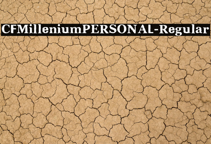 CFMilleniumPERSONAL-Regular Example 1