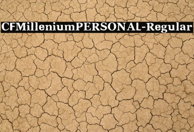 CFMilleniumPERSONAL-Regular Example 1