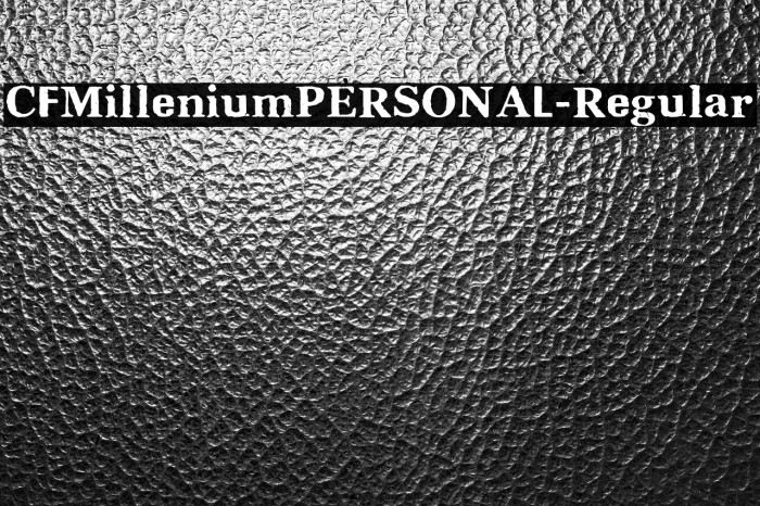 CFMilleniumPERSONAL-Regular Example 2