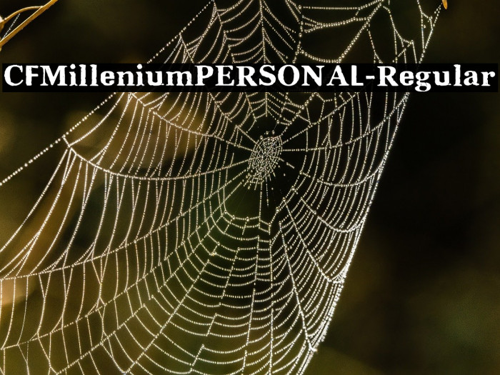 CFMilleniumPERSONAL-Regular Example 3