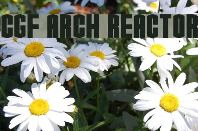 CGF Arch Reactor Example 1