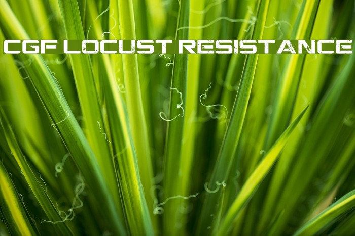 CGF Locust Resistance Font examples