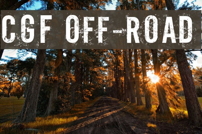 CGF Off-Road Шрифта examples