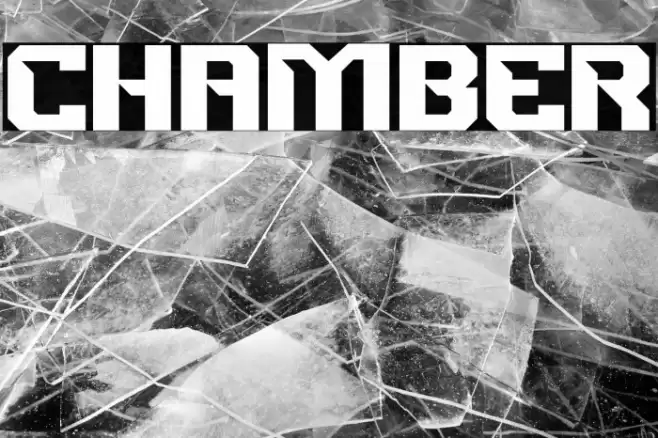 CHAMBER Polices examples