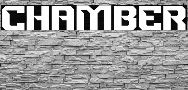 CHAMBER Polices examples