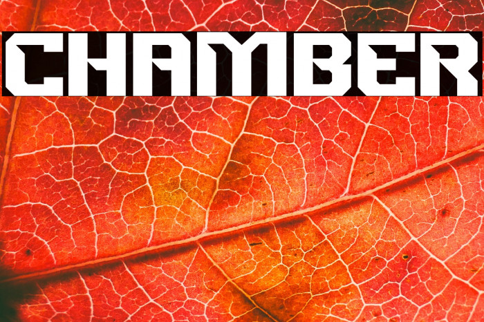 CHAMBER फ़ॉन्ट examples