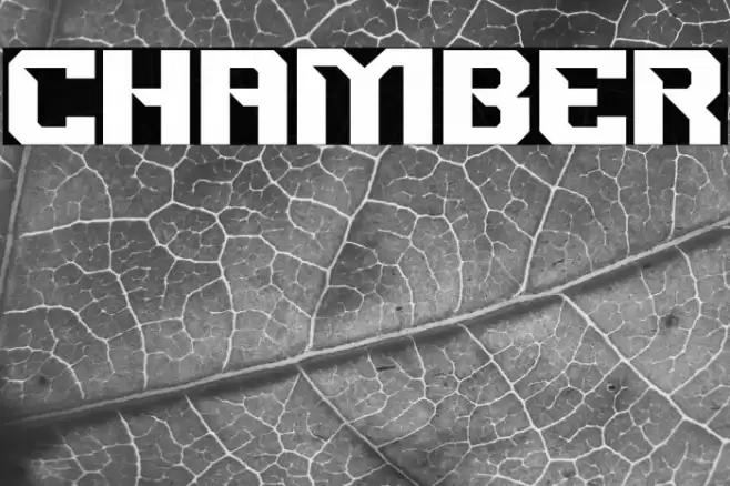 CHAMBER Polices examples