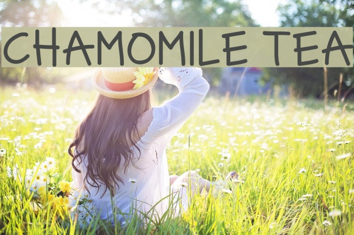 Camomile перевод