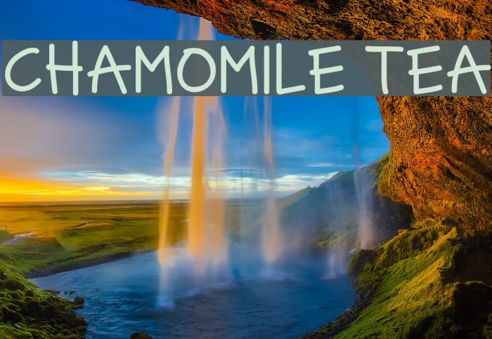 CHAMOMILE TEA Example 3