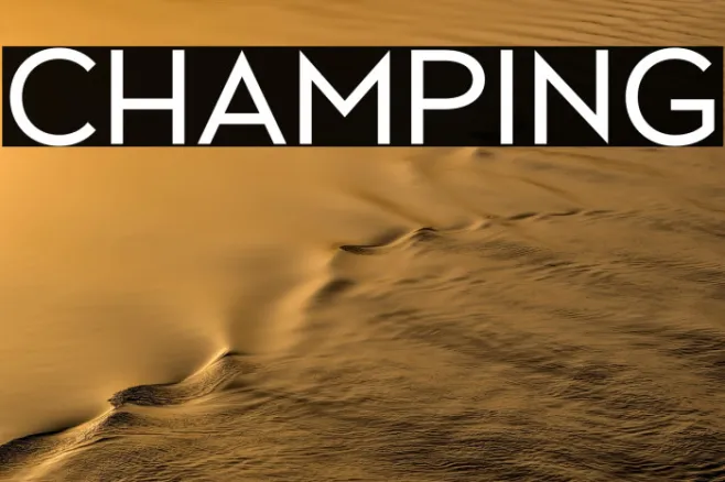 CHAMPING Example 1