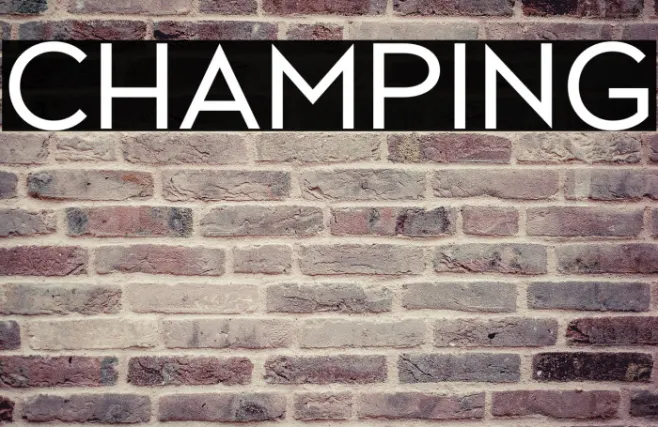 CHAMPING Example 3