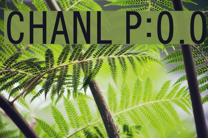 CHANL Plain:0.0 Font examples