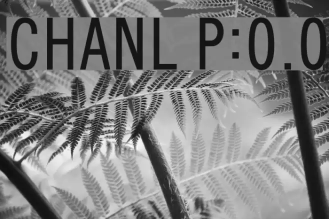 CHANL Plain:0.0 Fonte examples