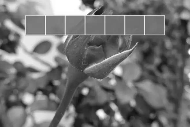 CHANL Plain Font examples