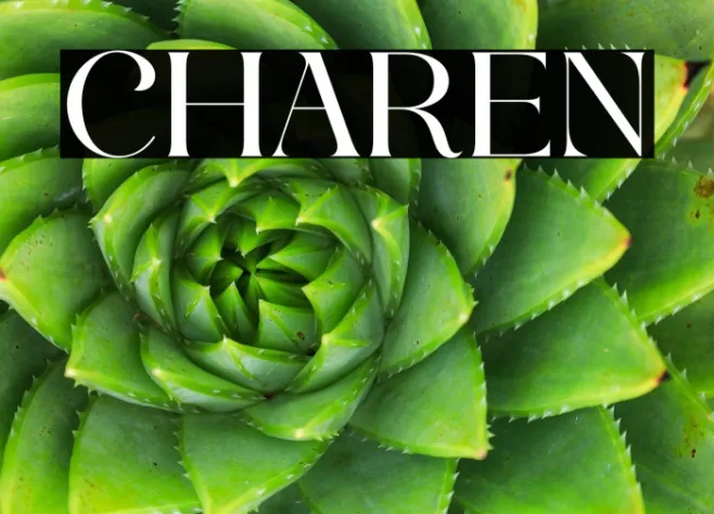 CHAREN Example 3