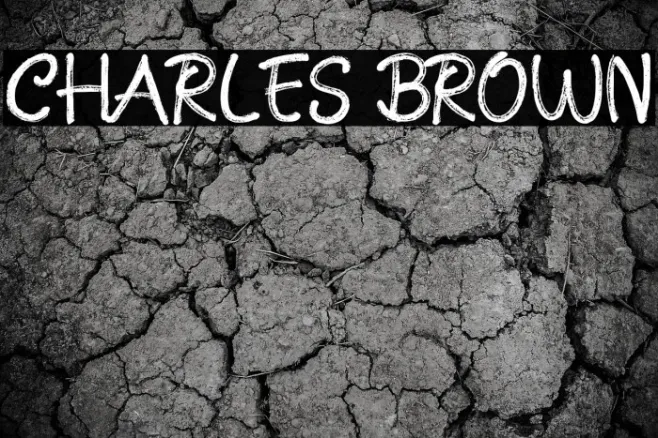 CHARLES BROWN Example 3