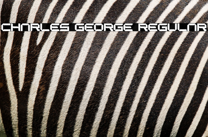 CHARLES GEORGE Regular Example 1