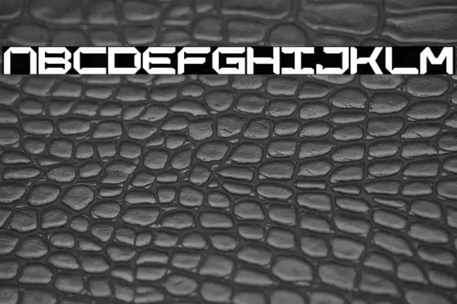 CHARLESGEORGE-Regular Font examples