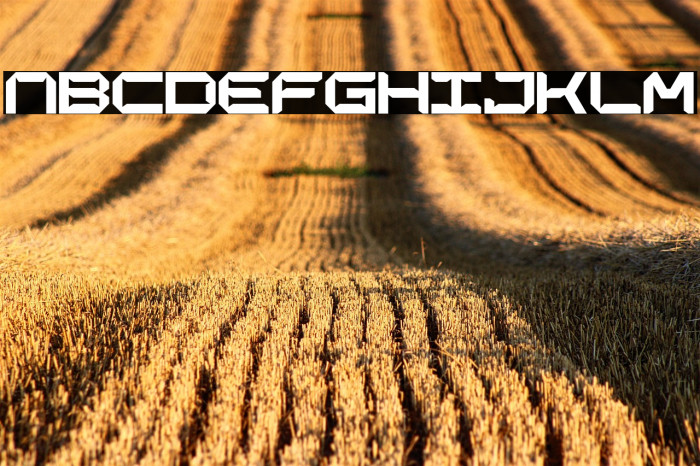 CHARLESGEORGE-Regular Example 3