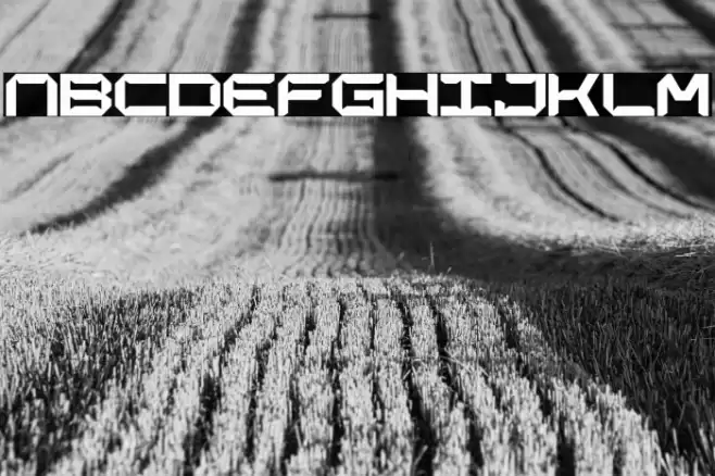 CHARLESGEORGE-Regular Font examples