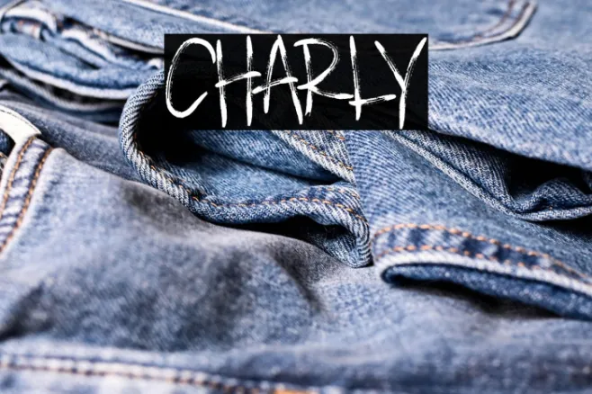 CHARLY Example 1