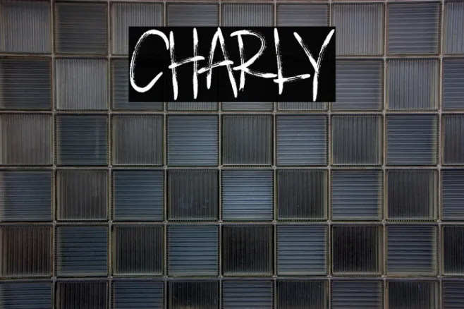 CHARLY Example 2
