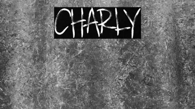 CHARLY Example 3