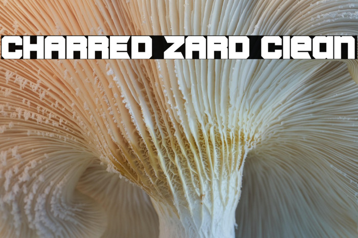 CHARRED ZARD Clean Example 2