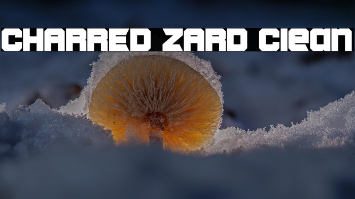 CHARRED ZARD Clean Example 3