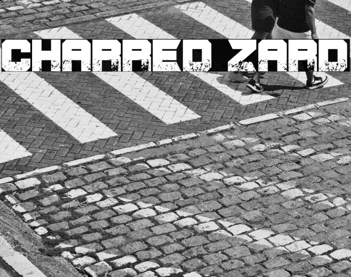 CHARRED ZARD Example 1