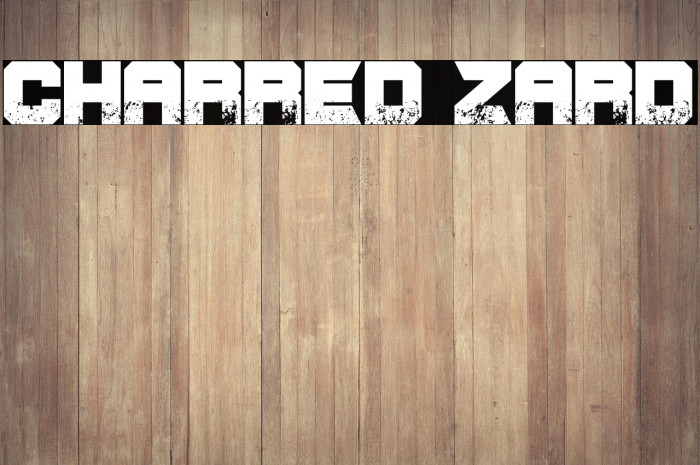 CHARRED ZARD Example 2