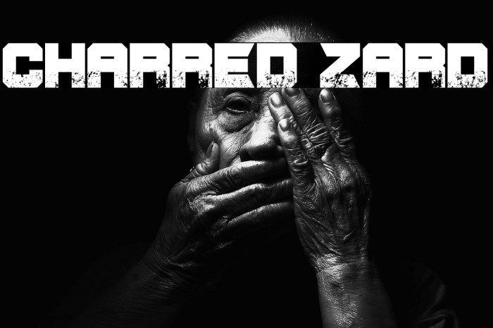 CHARRED ZARD Example 3