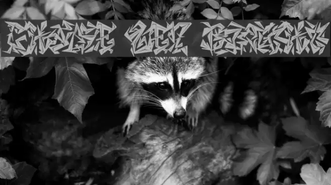 CHASE ZEN BLIGHT Font examples