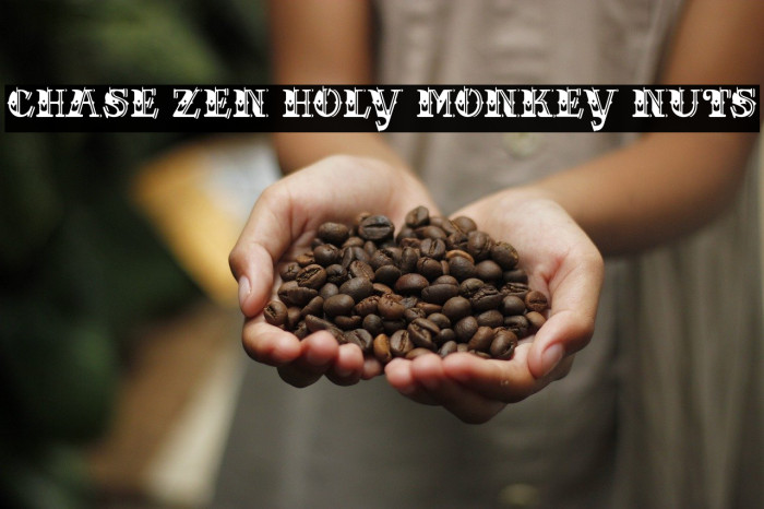 CHASE ZEN HOLY MONKEY NUTS Font examples