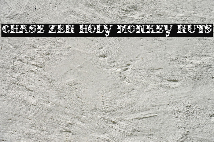 CHASE ZEN HOLY MONKEY NUTS Font examples