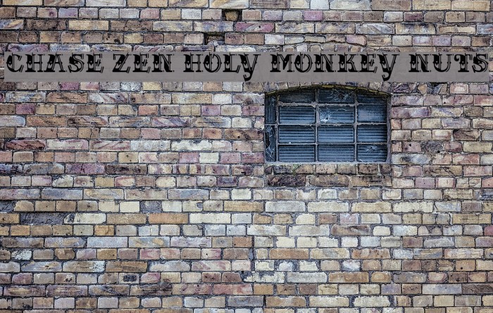 CHASE ZEN HOLY MONKEY NUTS Font examples