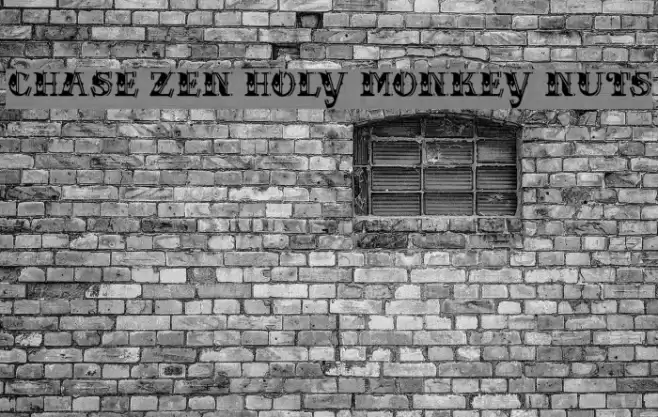 CHASE ZEN HOLY MONKEY NUTS Font examples