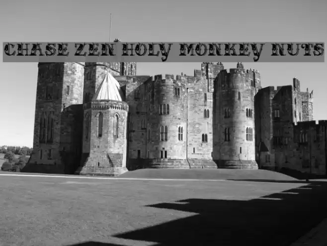 CHASE ZEN HOLY MONKEY NUTS Font examples