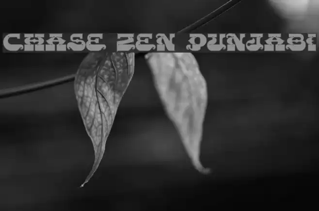 CHASE ZEN PUNJABI Font examples