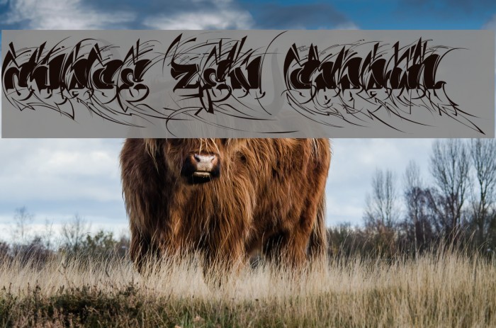 CHASE ZEN SPRAWL Font examples