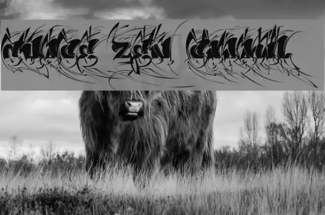 CHASE ZEN SPRAWL Font examples