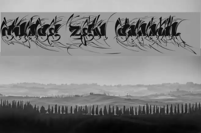 CHASE ZEN SPRAWL Font examples
