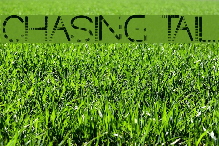 CHASING TAIL Font examples