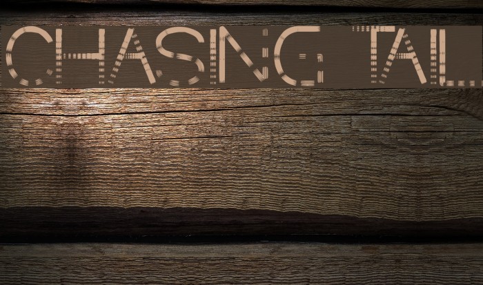CHASING TAIL Font examples