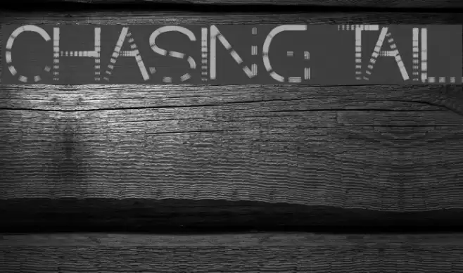 CHASING TAIL Fonte examples