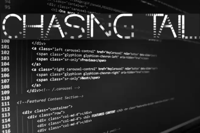 CHASING TAIL Fonte examples