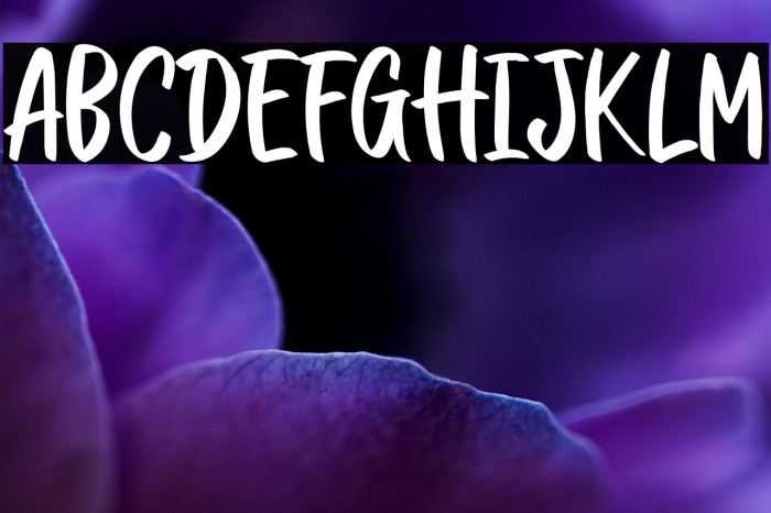 CHASINGBLUEBERRYRegular Example 2