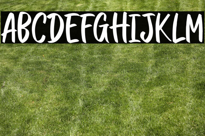 CHASINGBLUEBERRYRegular Example 3