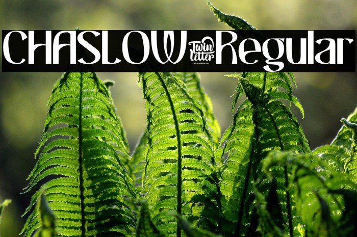 CHASLOW-Regular Example 1